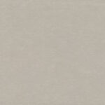 Concrete Stair Tread Color